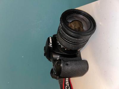 Canon 70D with Sigma 17-70