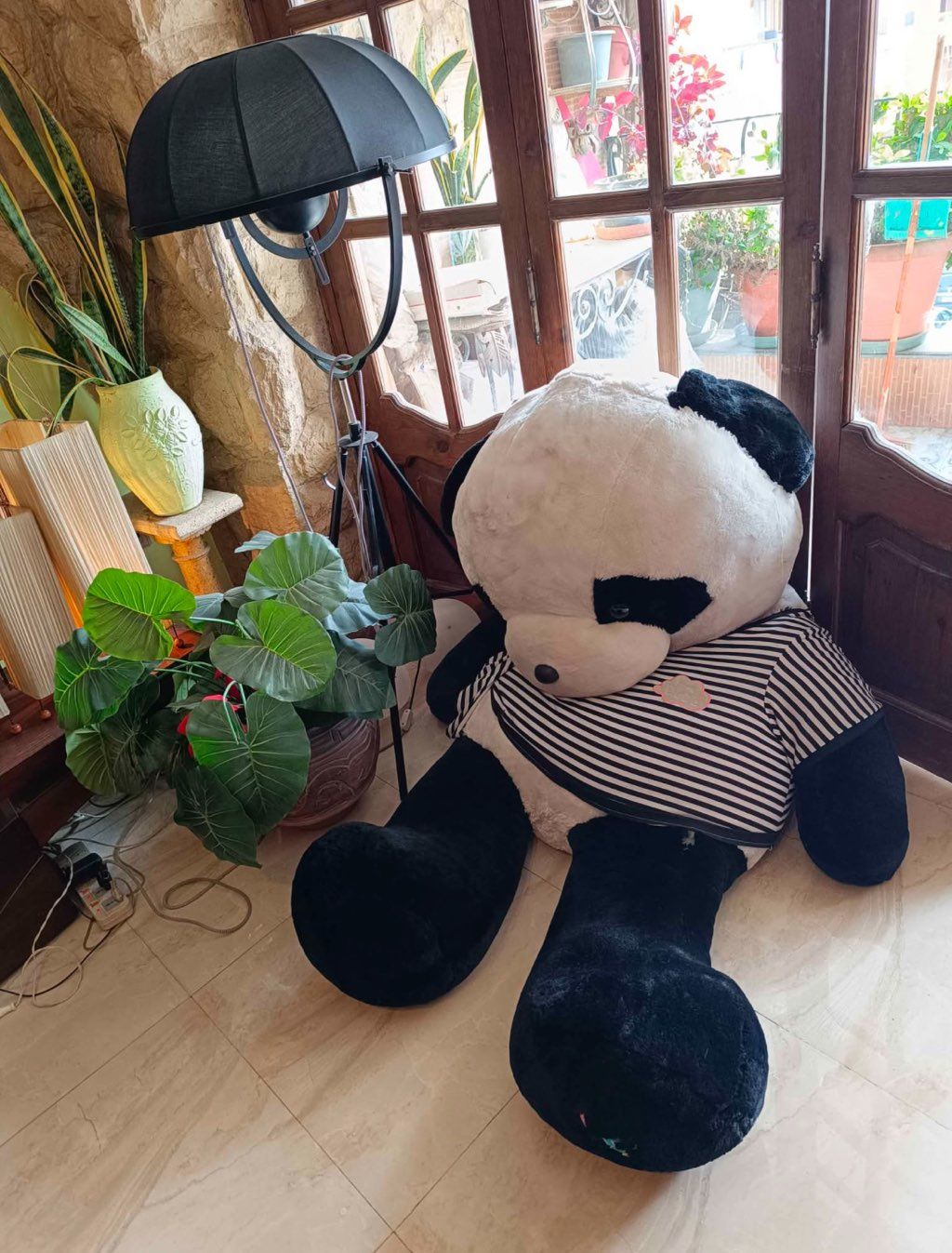 Giant panda