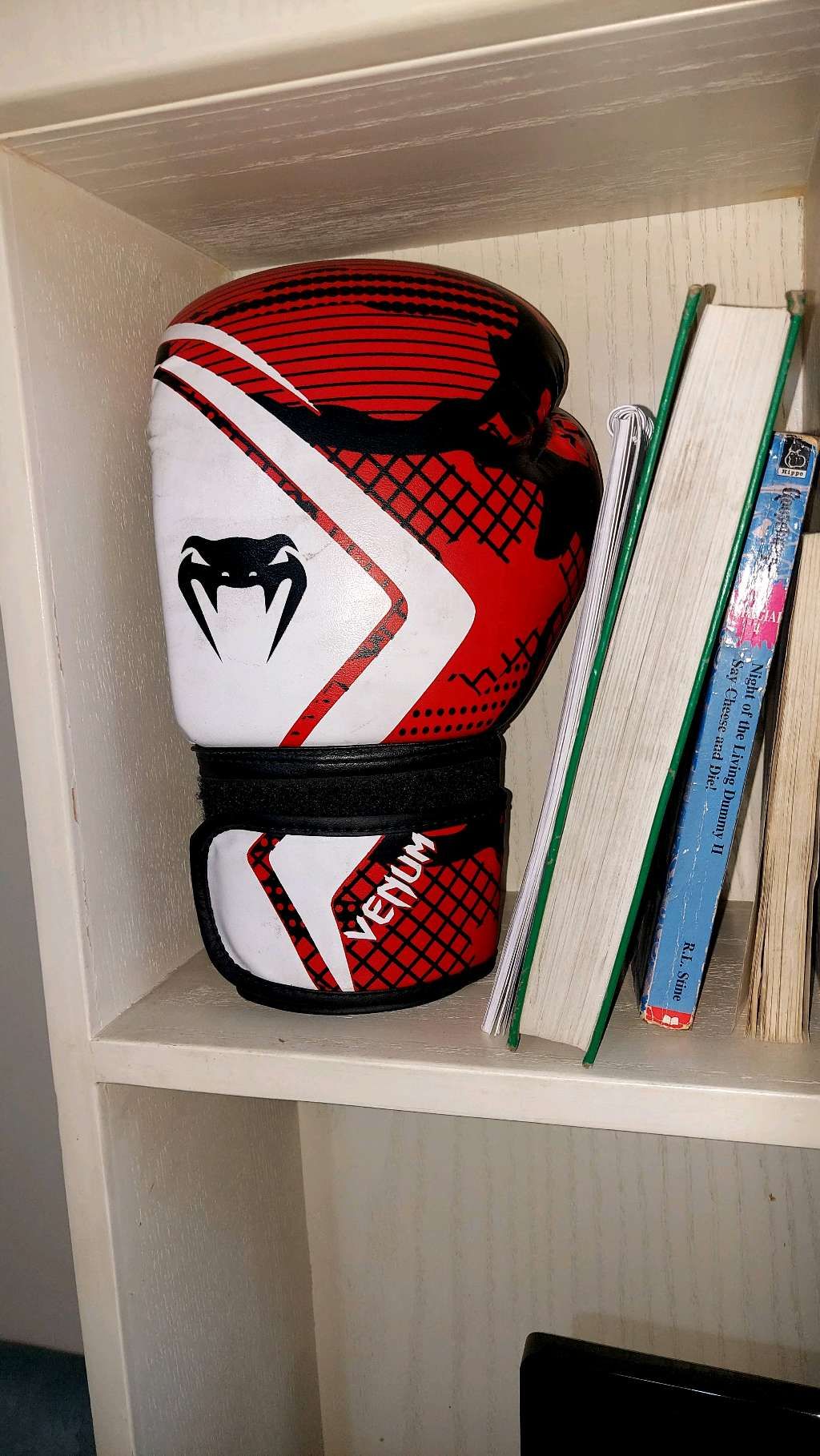 Venum Leather Boxing Glove (1)