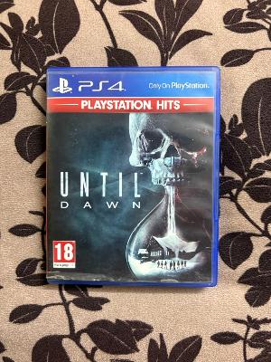 Untill Dawn