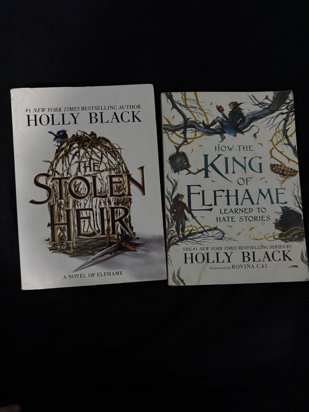 novels after cruel prince