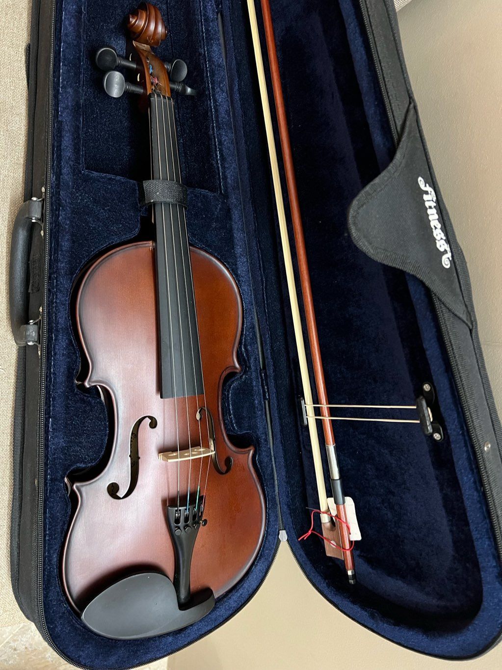 violin