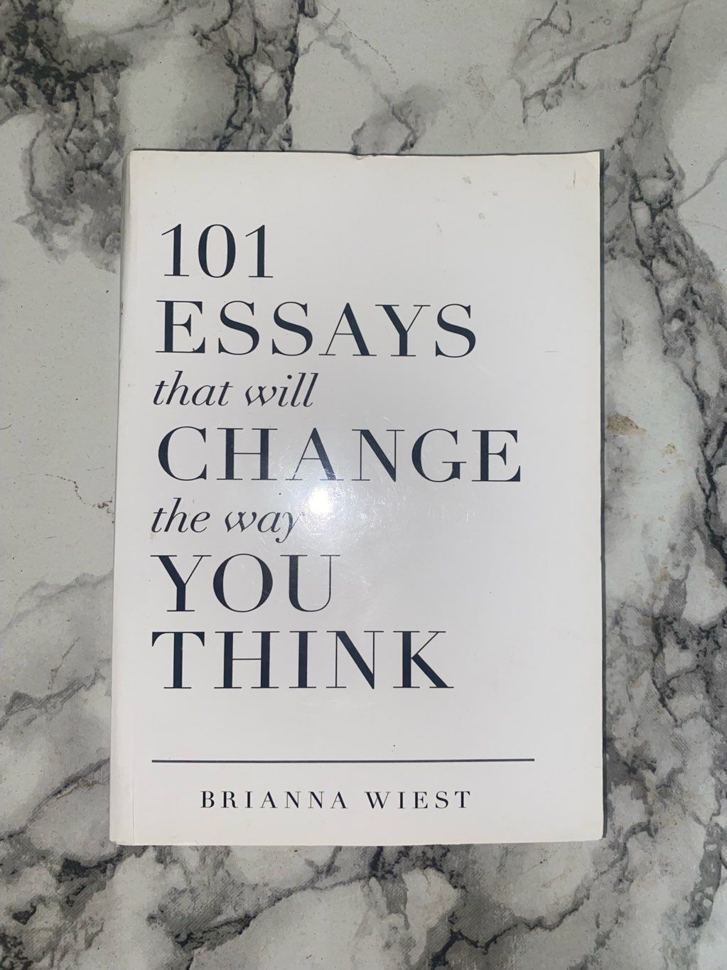 101 ESSAYS book