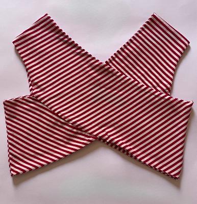 White & Red Crisscross CropTop