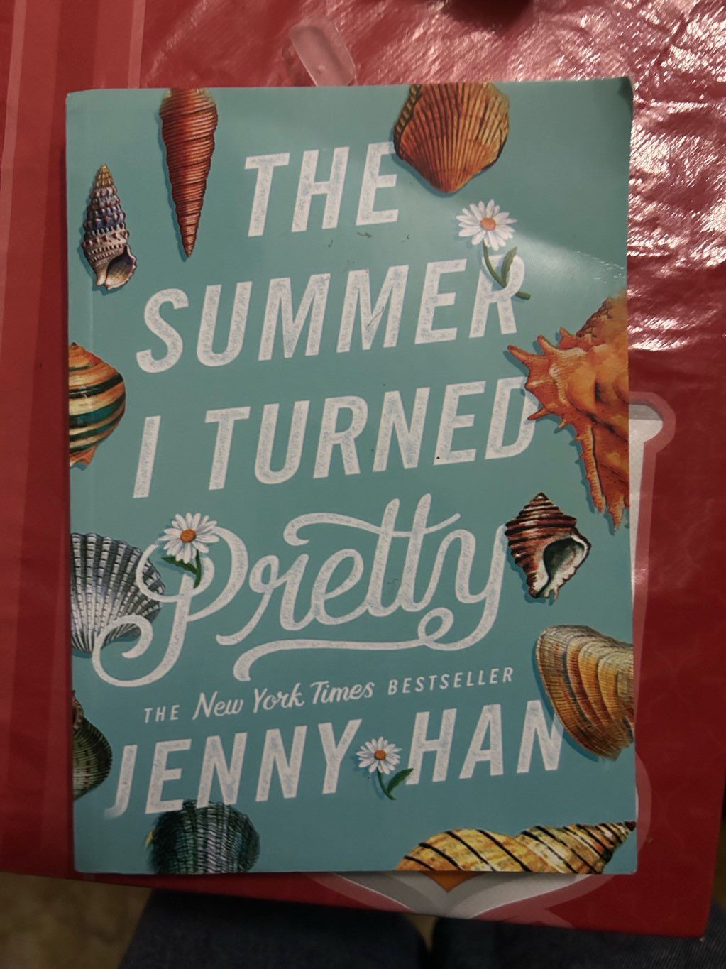 the summer i turned pretty 1