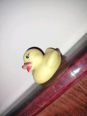 🦆