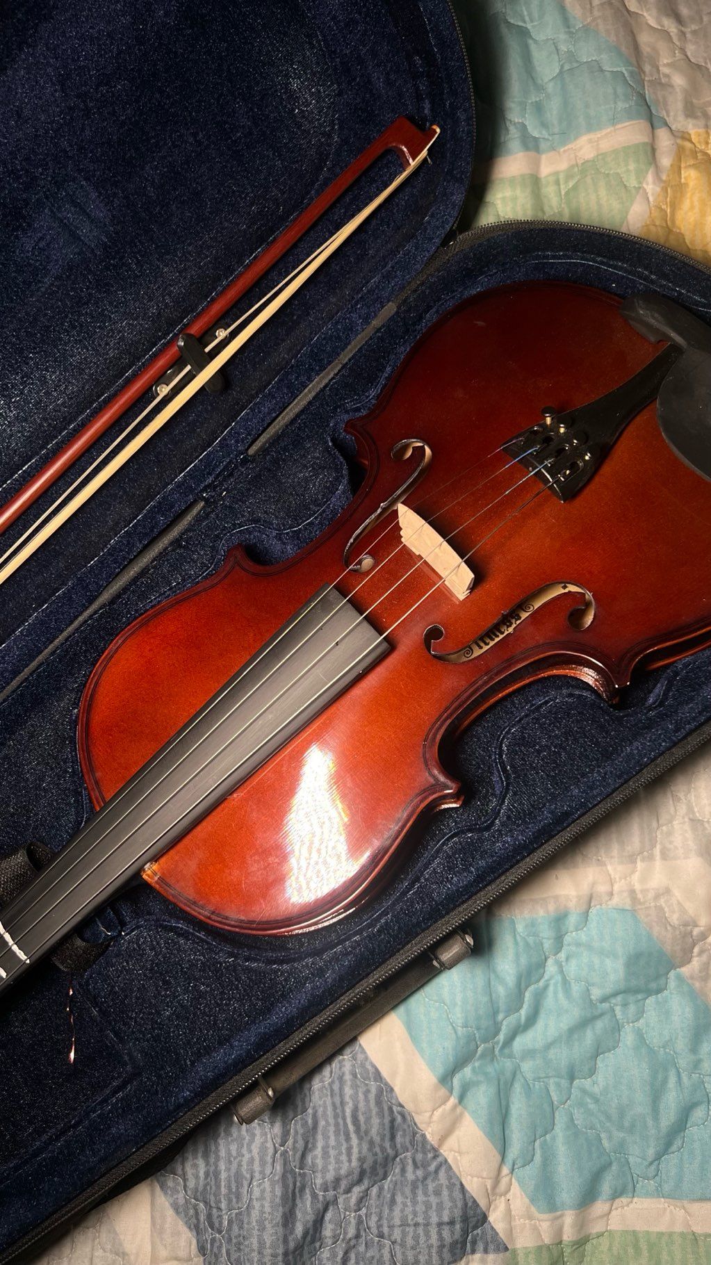 violin