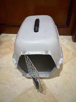 cat box