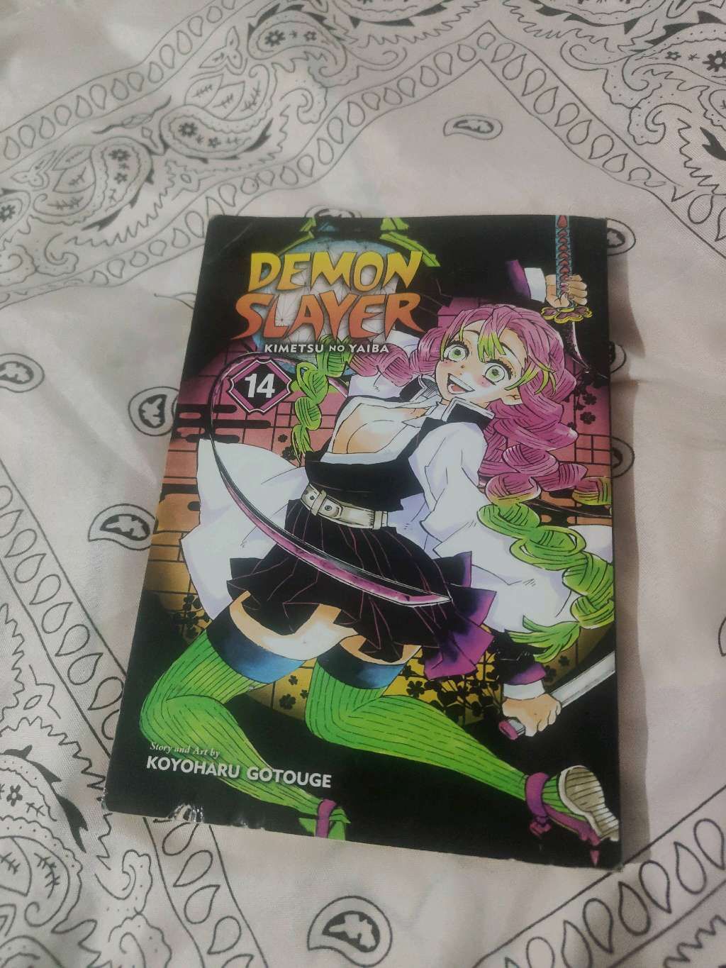 Demon Slayer Manga 14