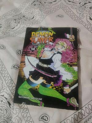 Demon Slayer Manga 14