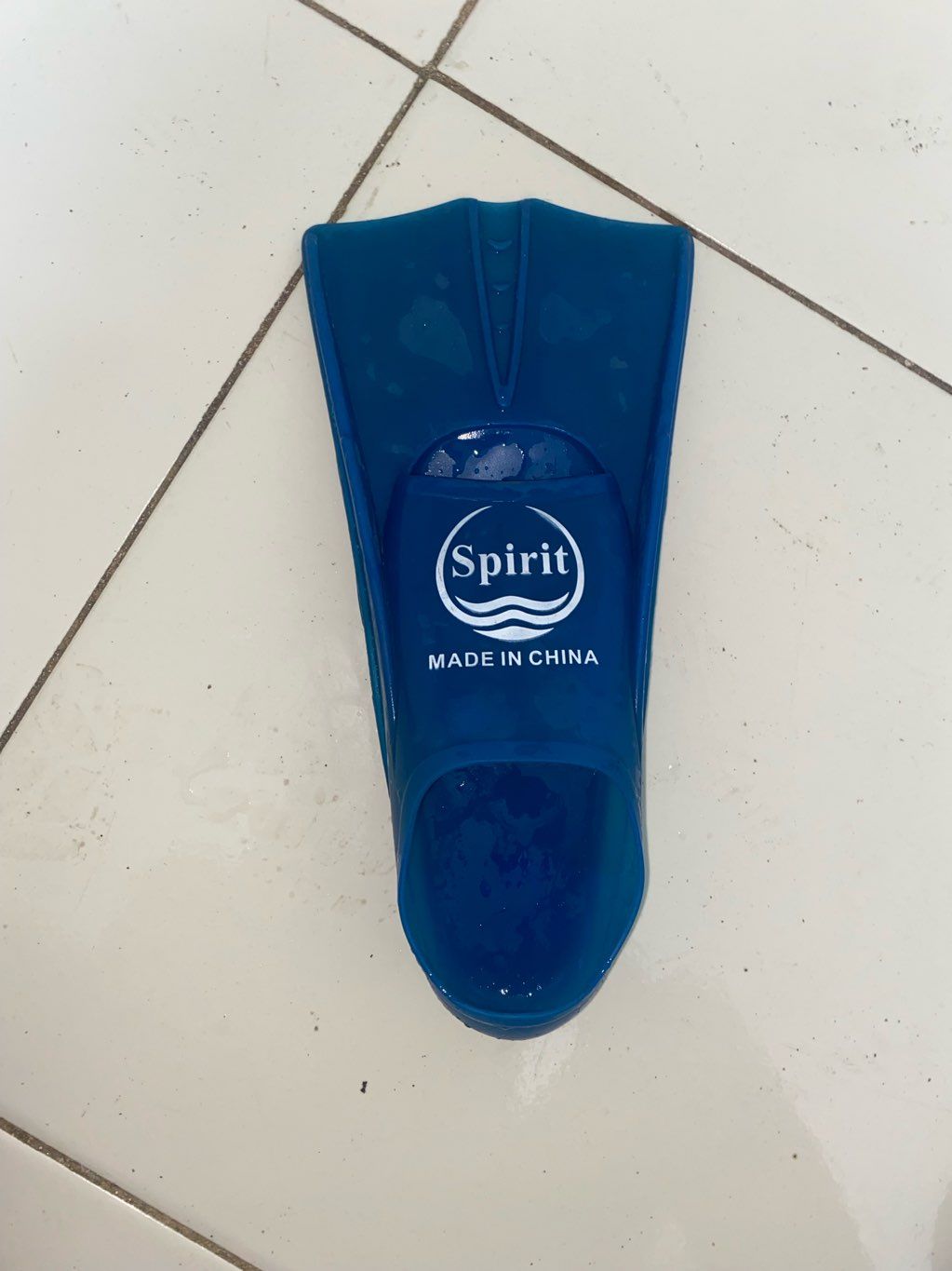 swimming fin