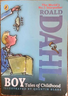 Boy Tales Of Childhood