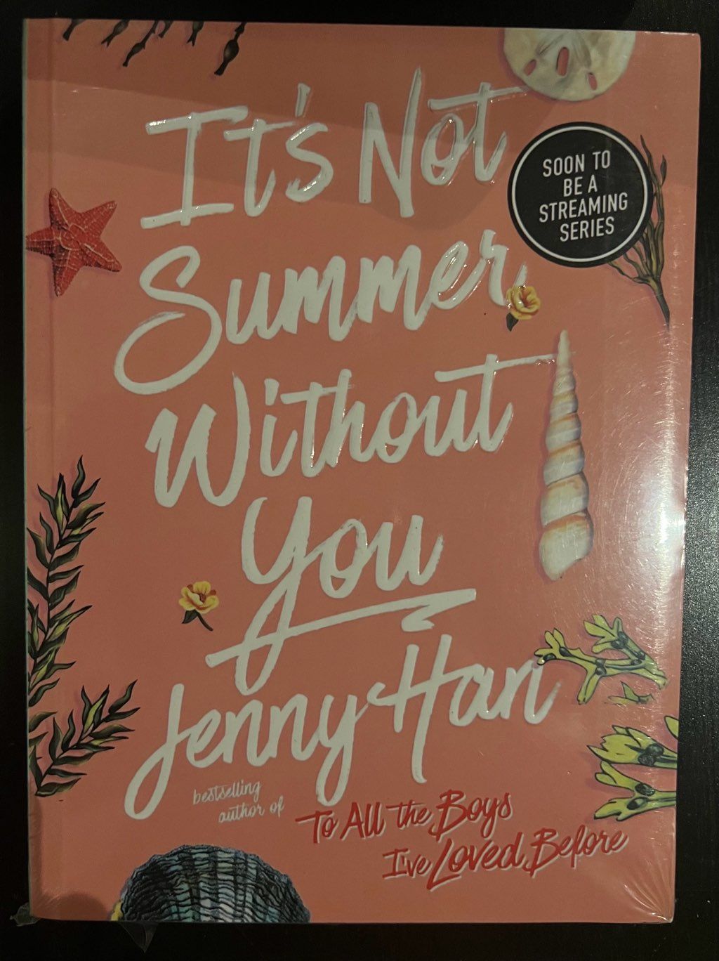 It’s Not Summer Without You
