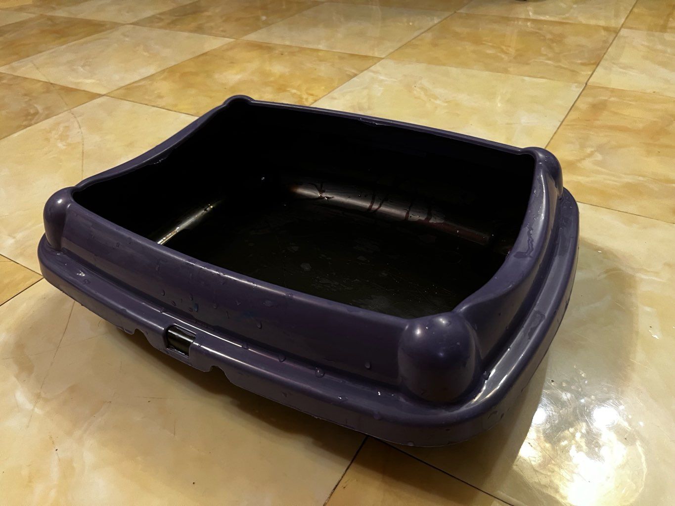 litter box