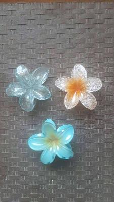 3  trendy hair clips