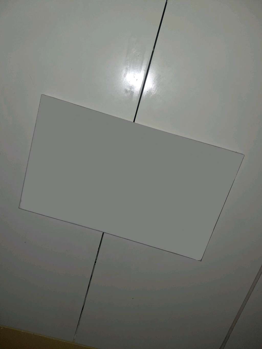 Blank Art Canvas