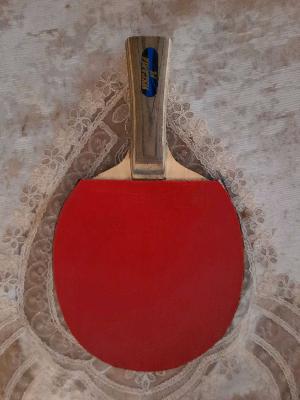 مدرب ping pong