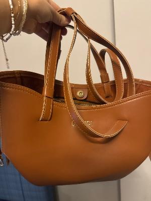 dodici local brand camel