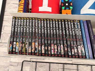 demon slayer manga