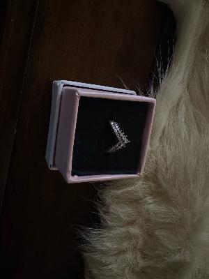 pandora ring