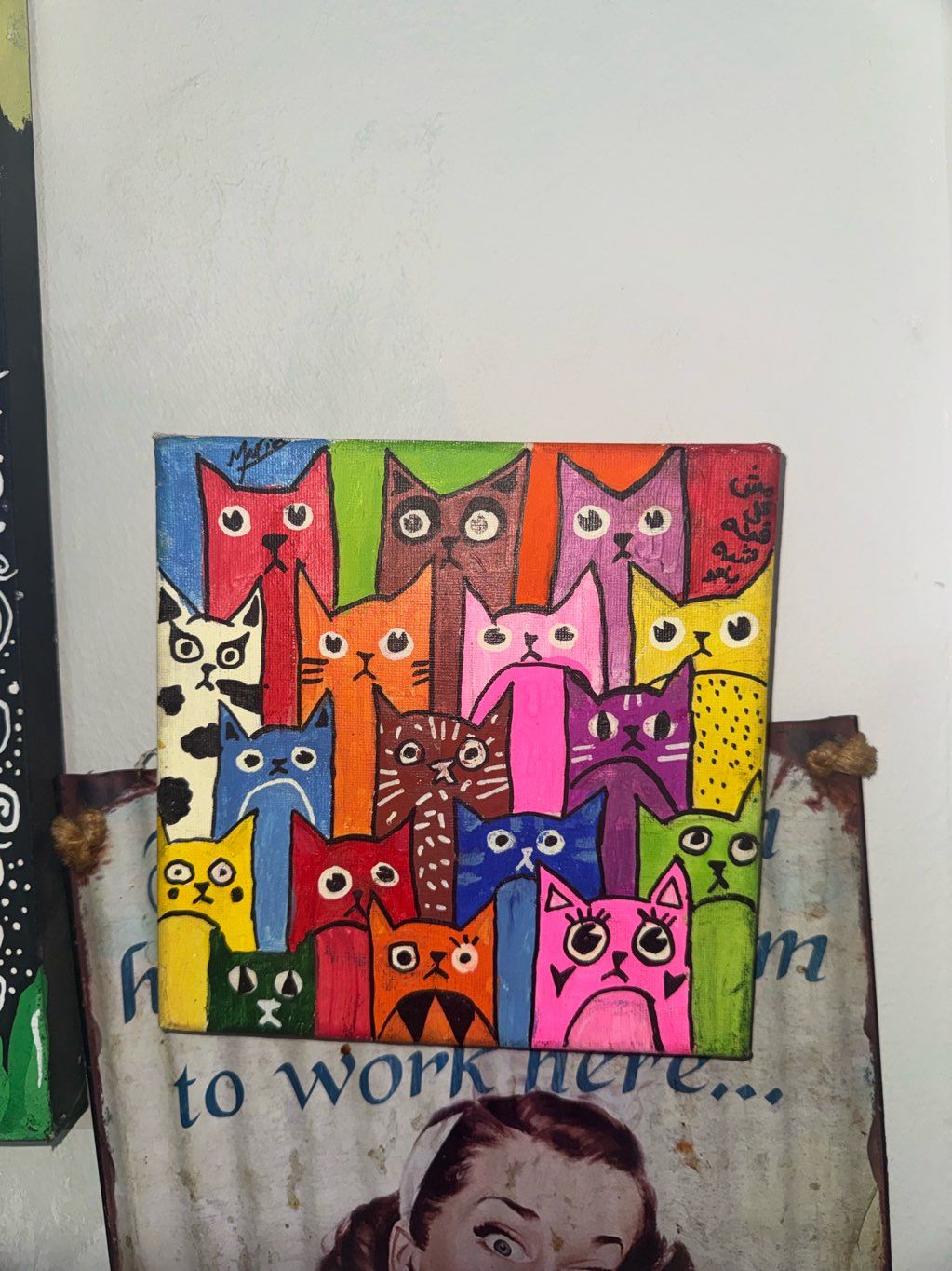 Cats
