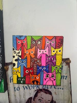 Cats