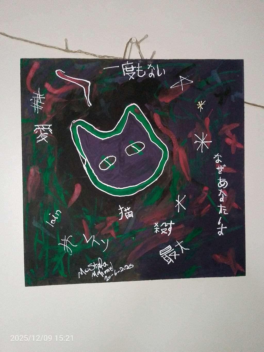 cat