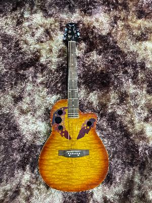 acoustic electric guitar