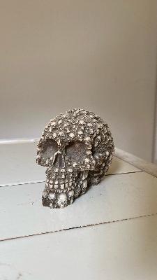 skull full of skulls