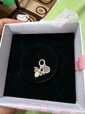 Pandora Charm