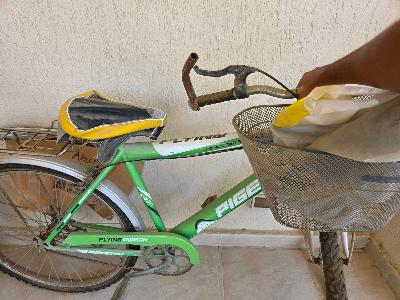 large size bicycle pigeon