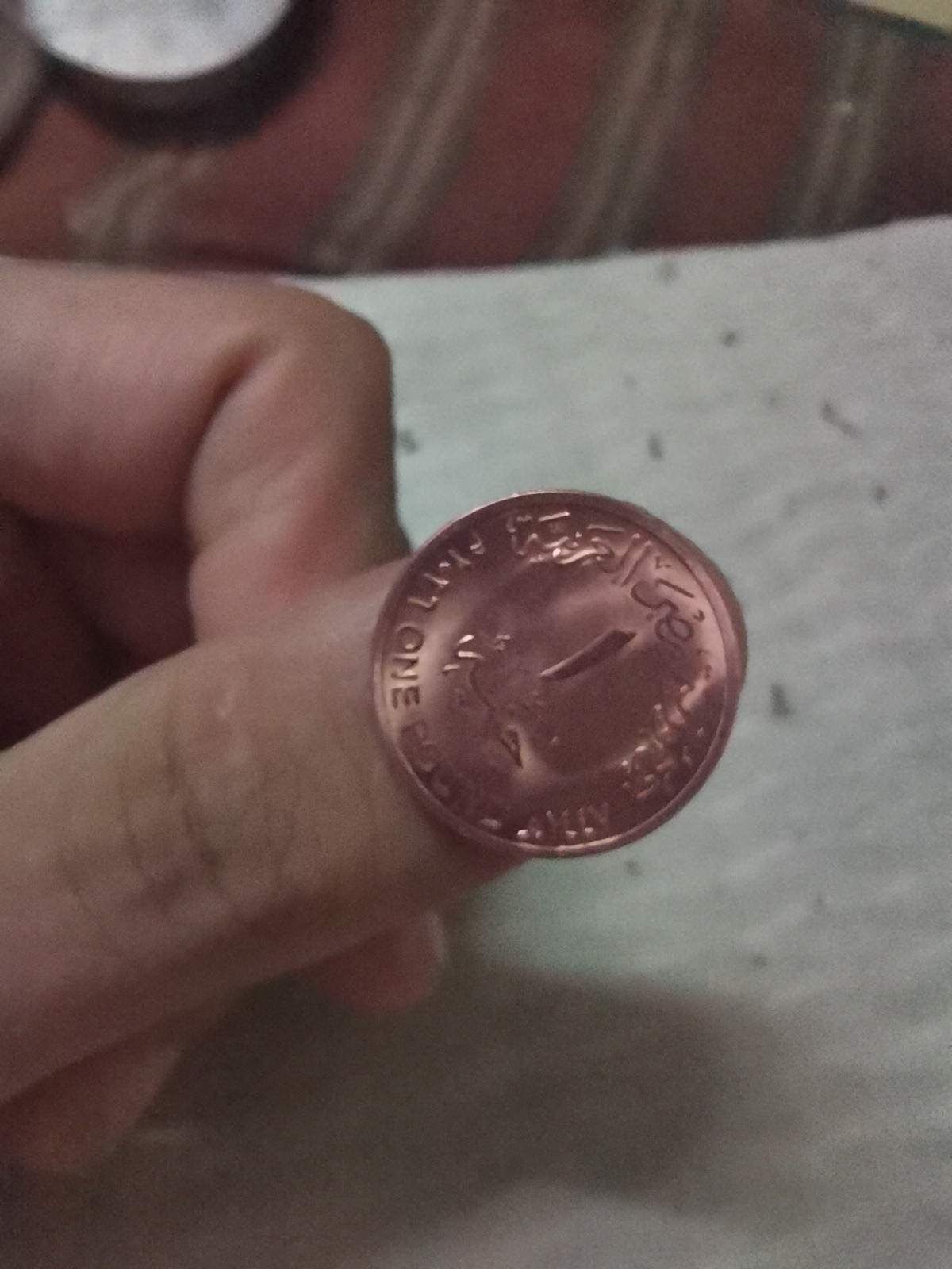 1 pound coin