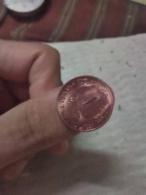 1 pound coin