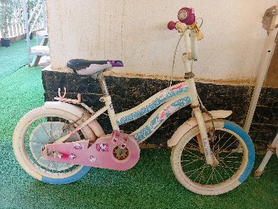 bicycle