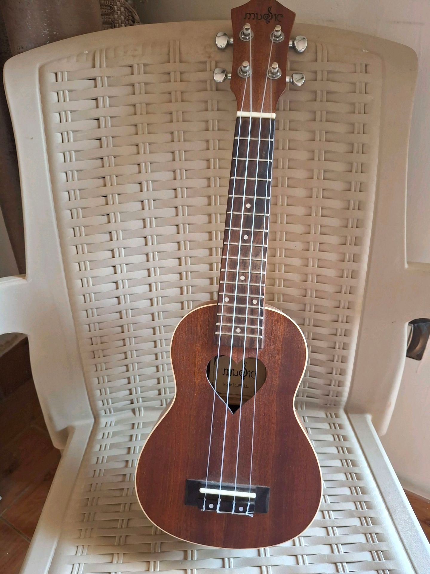 Soprano Ukulele with the case.