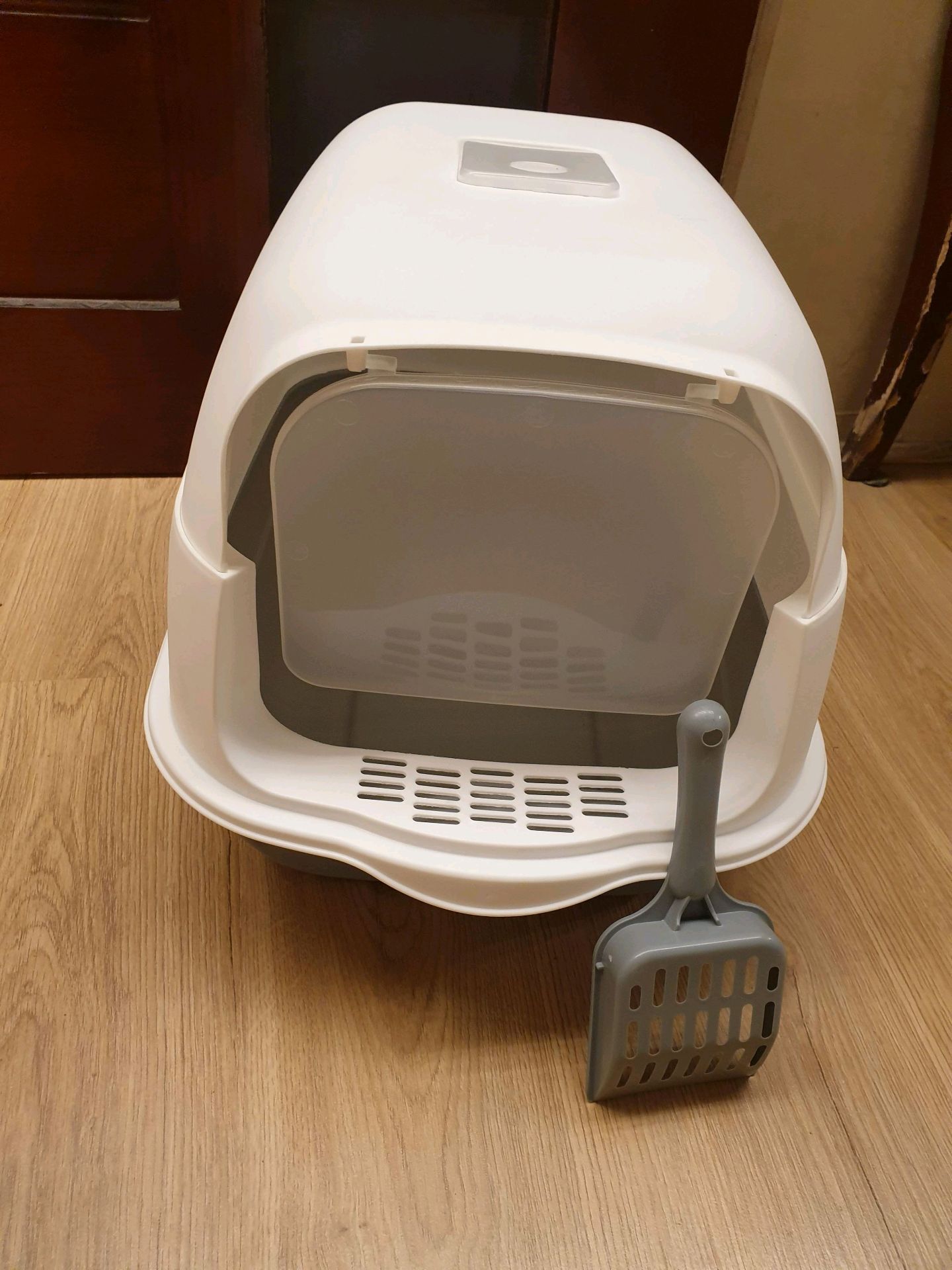 litter box