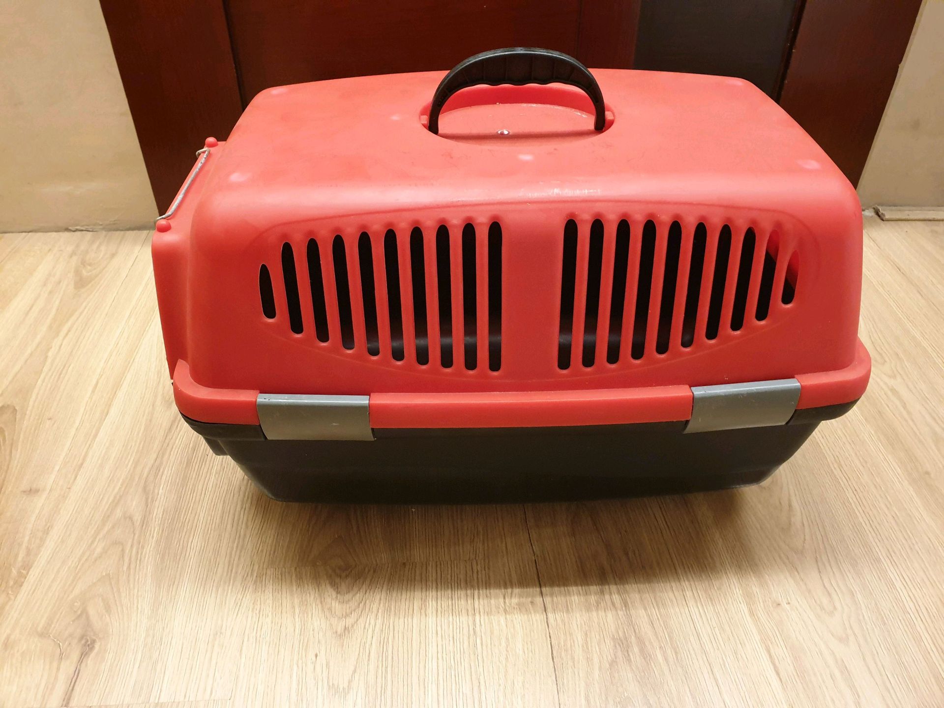 cat box