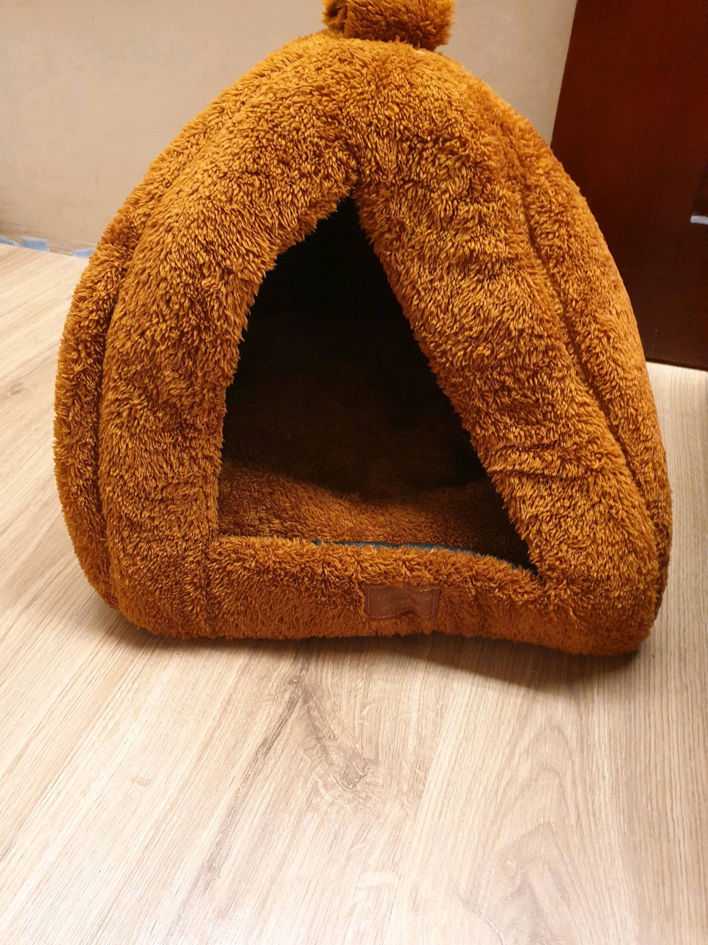 cat home