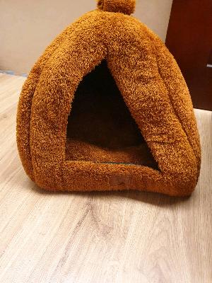 cat home