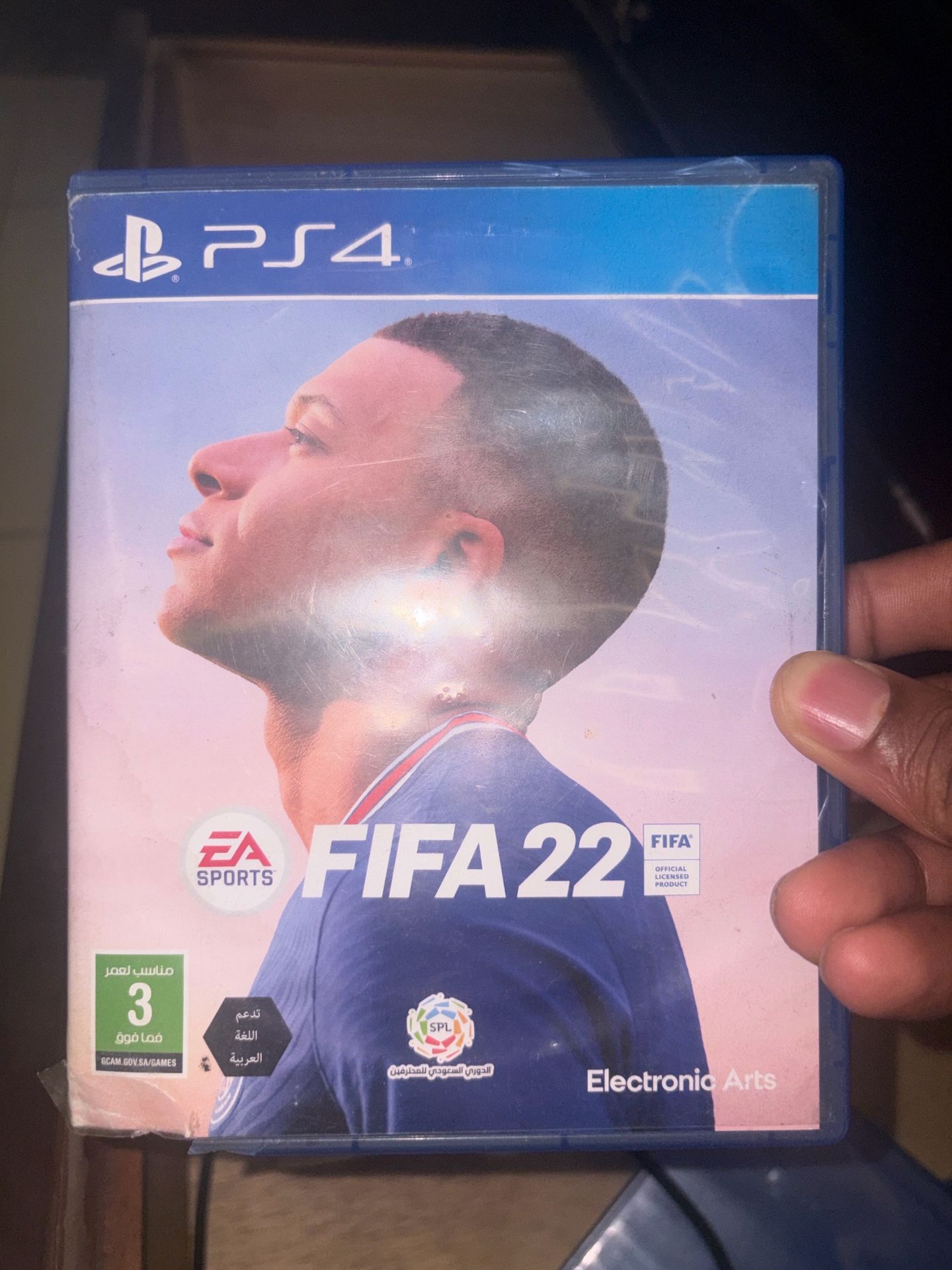 فيفا 2022