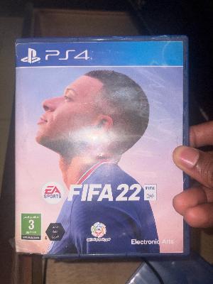 فيفا 2022