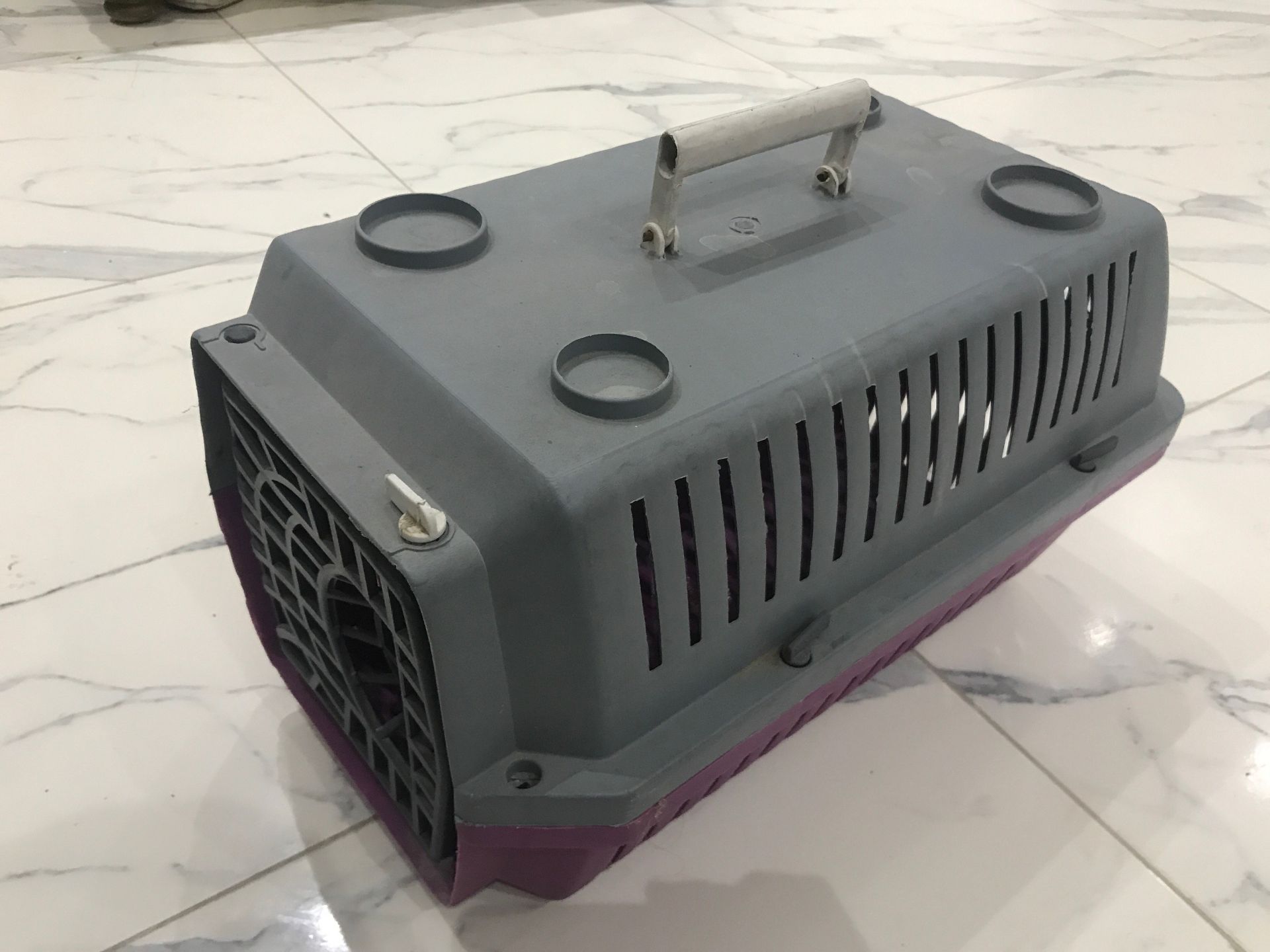 pet holder