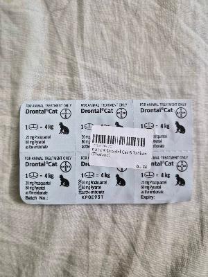 Drontal Cat Worming