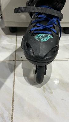 Skate cougar 509
