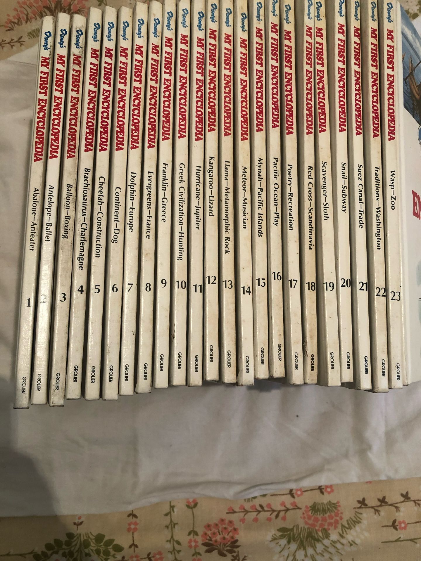 encyclopedia