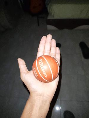 Wilson bouncy basketball