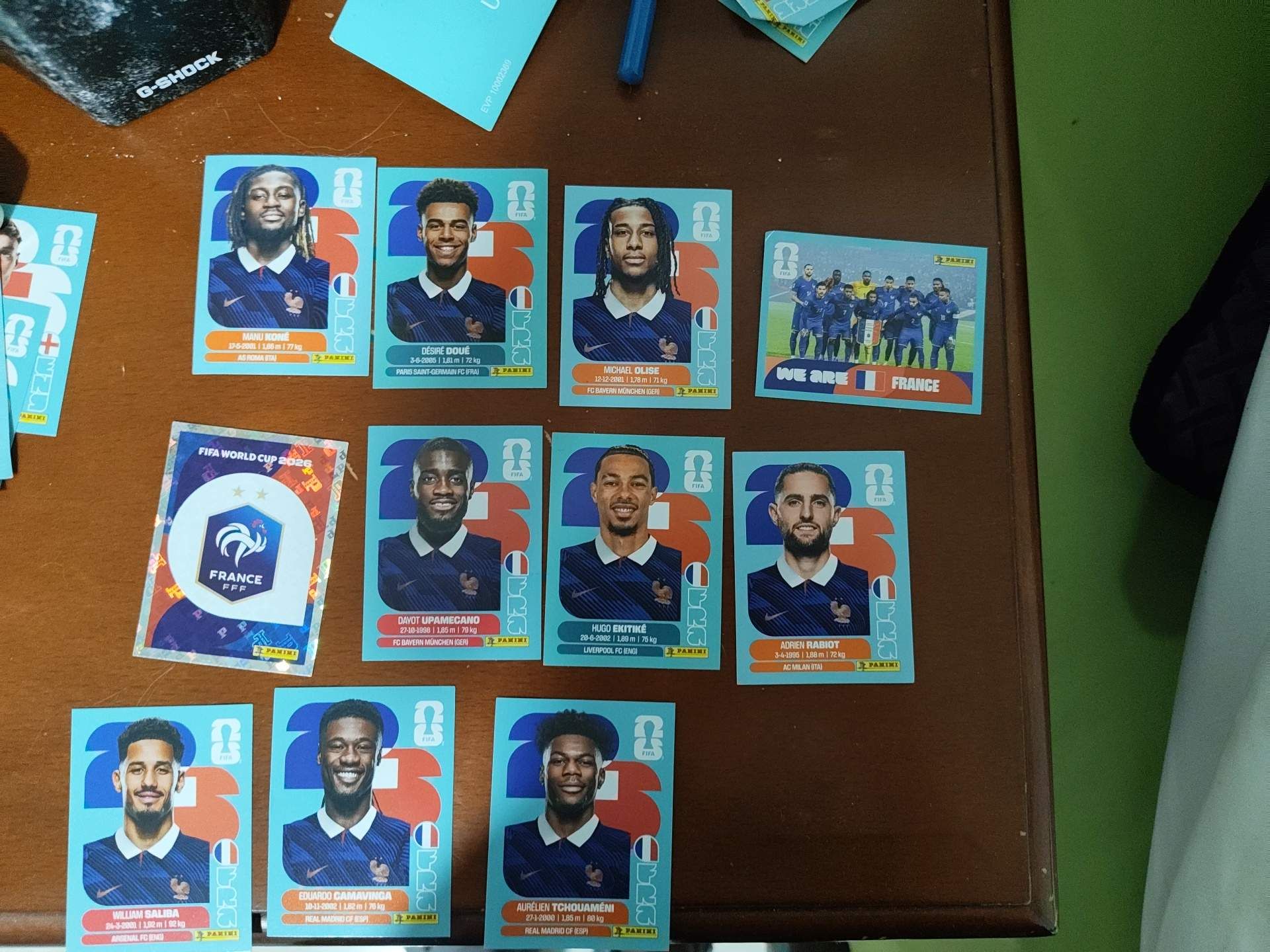 France FIFA WC panini stickers