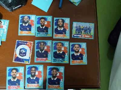 France FIFA WC panini stickers