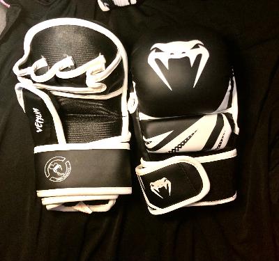 gloves for mma