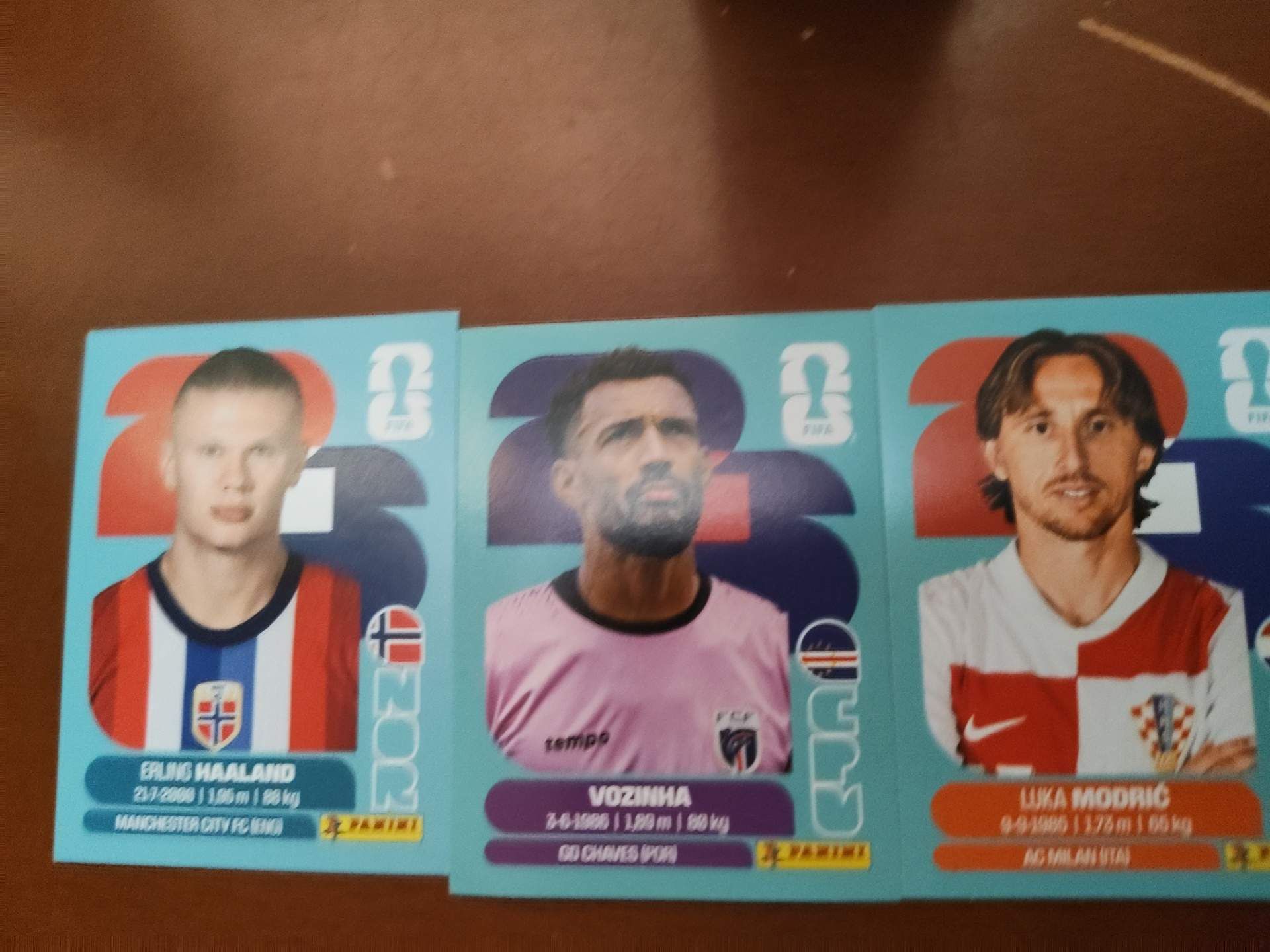 Modric, Haaland and Vosinha WC